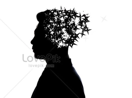 צילום מסך 2025-04-29 132536