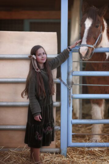 דבורי הרשלר מוקטן 0527143082 (8)