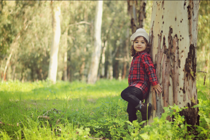 צילום מסך 2023-05-23 012545