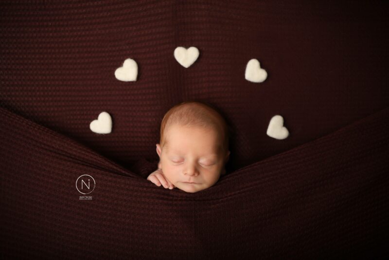 צילום נעמה נייהוז 0504160055 (6)