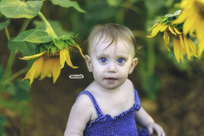 ‏‏‏‏5X7A9622 - יהודית סמט - עותק