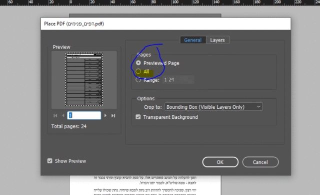 ייבוא קובץ מרובה עמודים