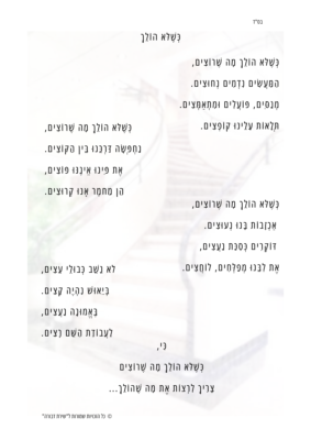 כשלא הולך.pdf_20250105_181716_0000