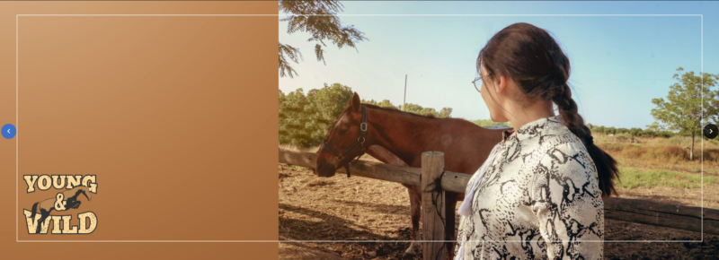 צילום מסך 2022-08-12 125105