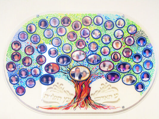 IMG_5993 מטושטש