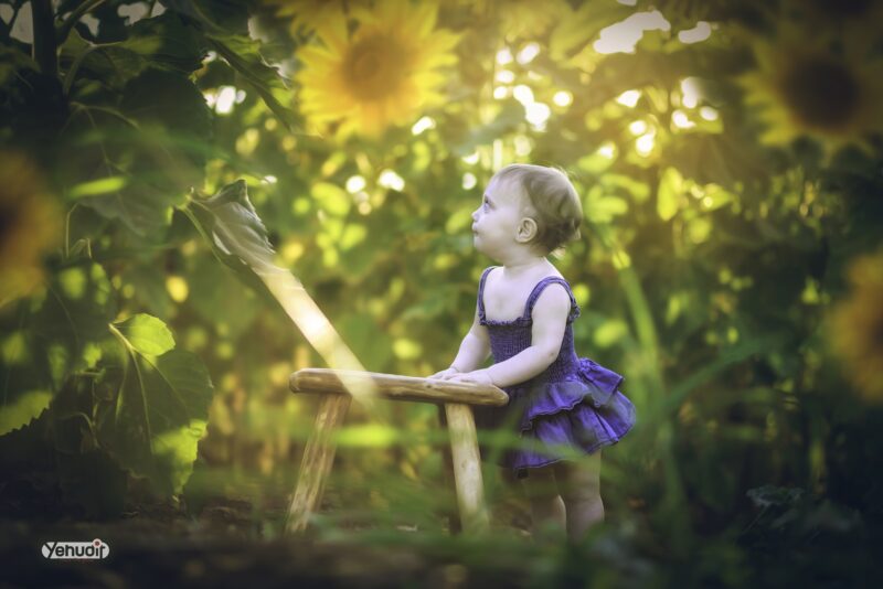 ‏‏‏‏5X7A9388 - יהודית סמט - עותק