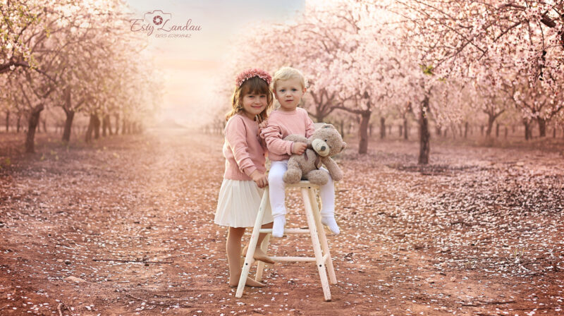 צילום אסתי לנדאו..