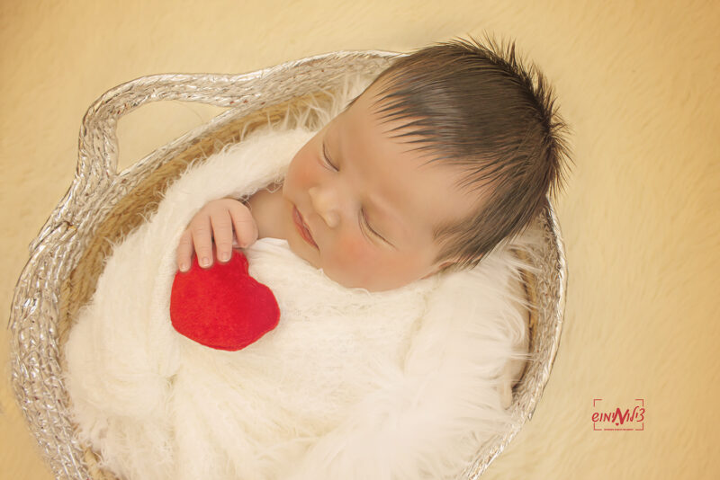 IMG_3600(מוקטן)