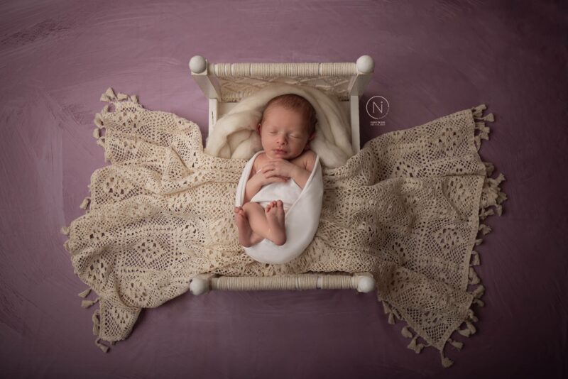 צילום נעמה נייהוז 0504160055 (17)