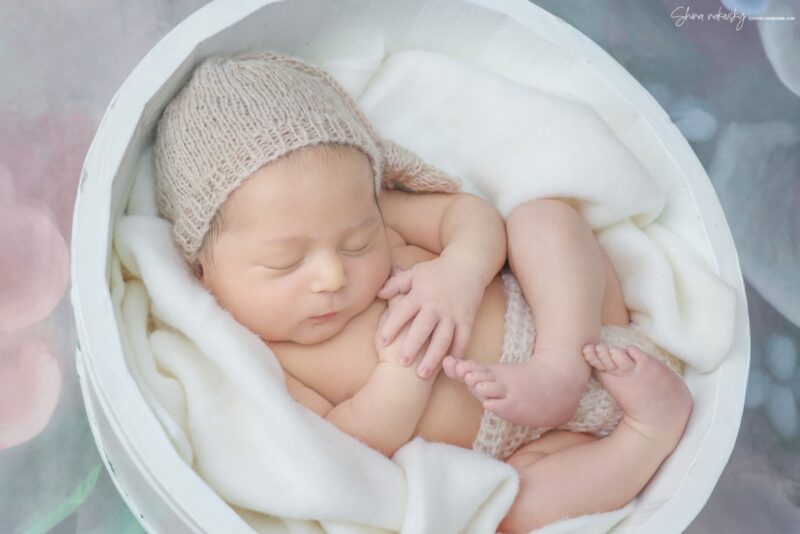 צילום שירה רקובסקי s0548481508@gmail (2)