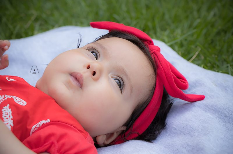 צילום מסך 2020-09-29 163347