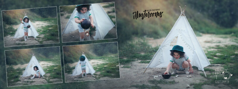 עמוד אוהל פטריות נמוכה