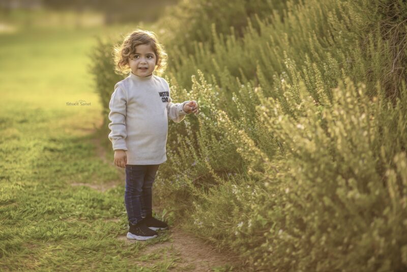 צילום יהודית סמט (13)