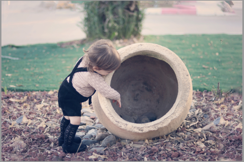 מלכי וינברגר 0533145584 (1)