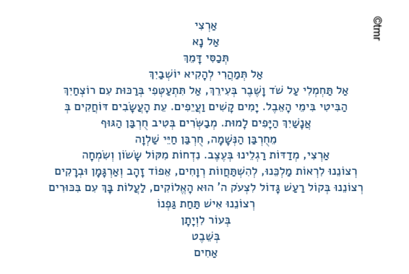 צילום מסך 2023-10-26 201855