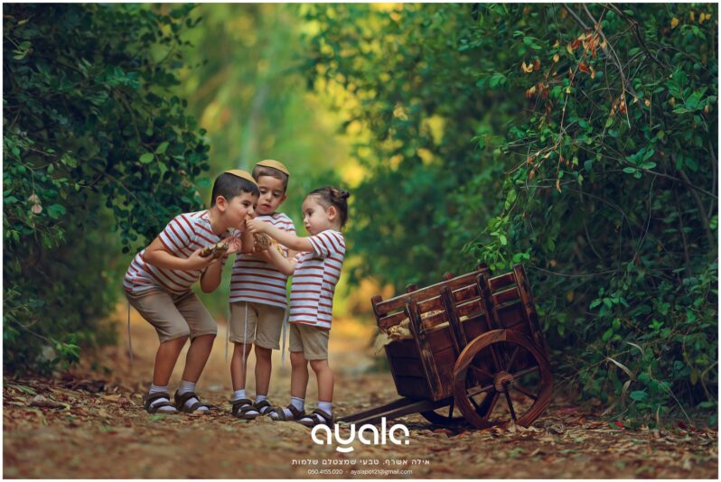 צילום אילה אשרף (20)