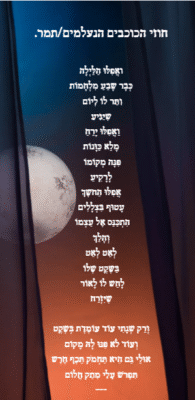 צילום מסך 2025-07-09 003842