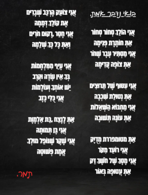 צילום מסך 2026-01-27 222053