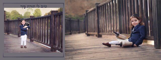 דבורי צלמת 0534181378 (3)