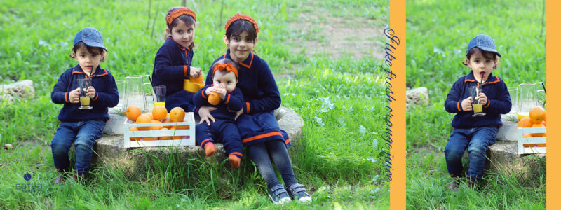 אלבום (11) copy