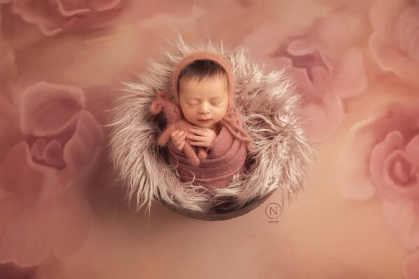 צילום נעמה נייהוז 0504160055 (20)