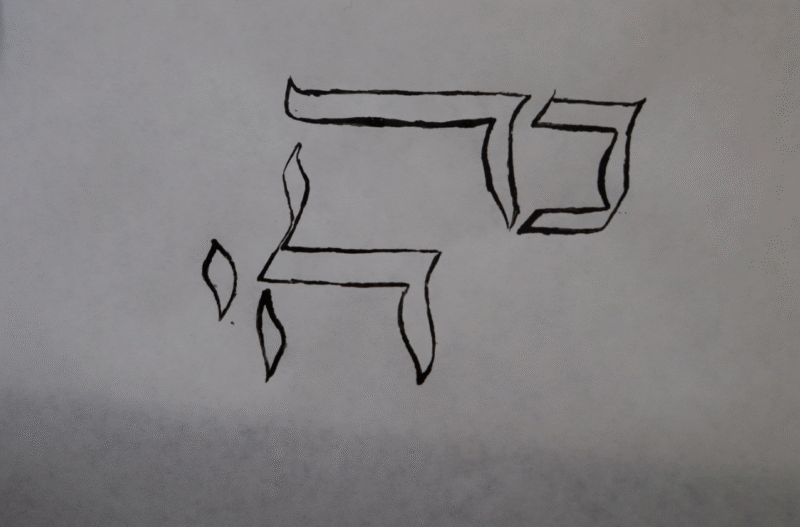 צילום מסך 2024-05-22 022944