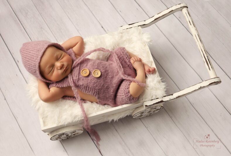 תמונות מוקטנות (3)